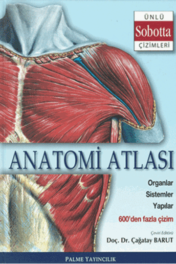 Anatomi Atlası Sobotta Çizimleri