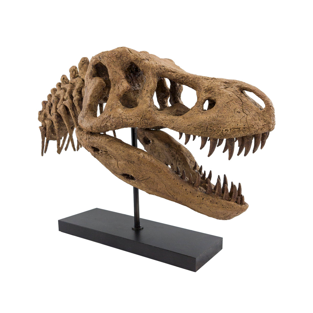 T. rex No.2