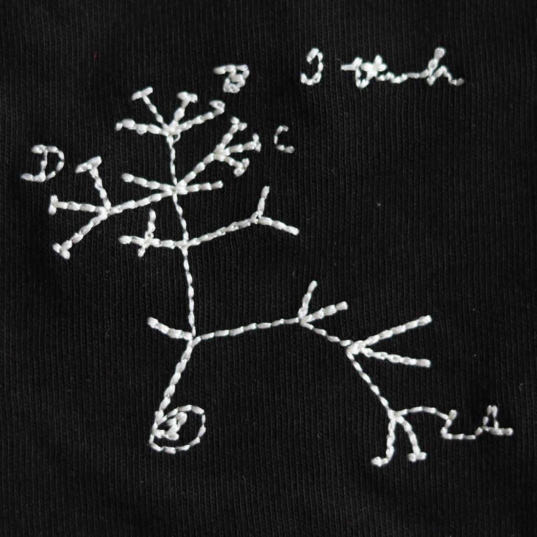 ‘’I think...: Darwin'in Yaşam Ağacı’’ Nakış Sweatshirt