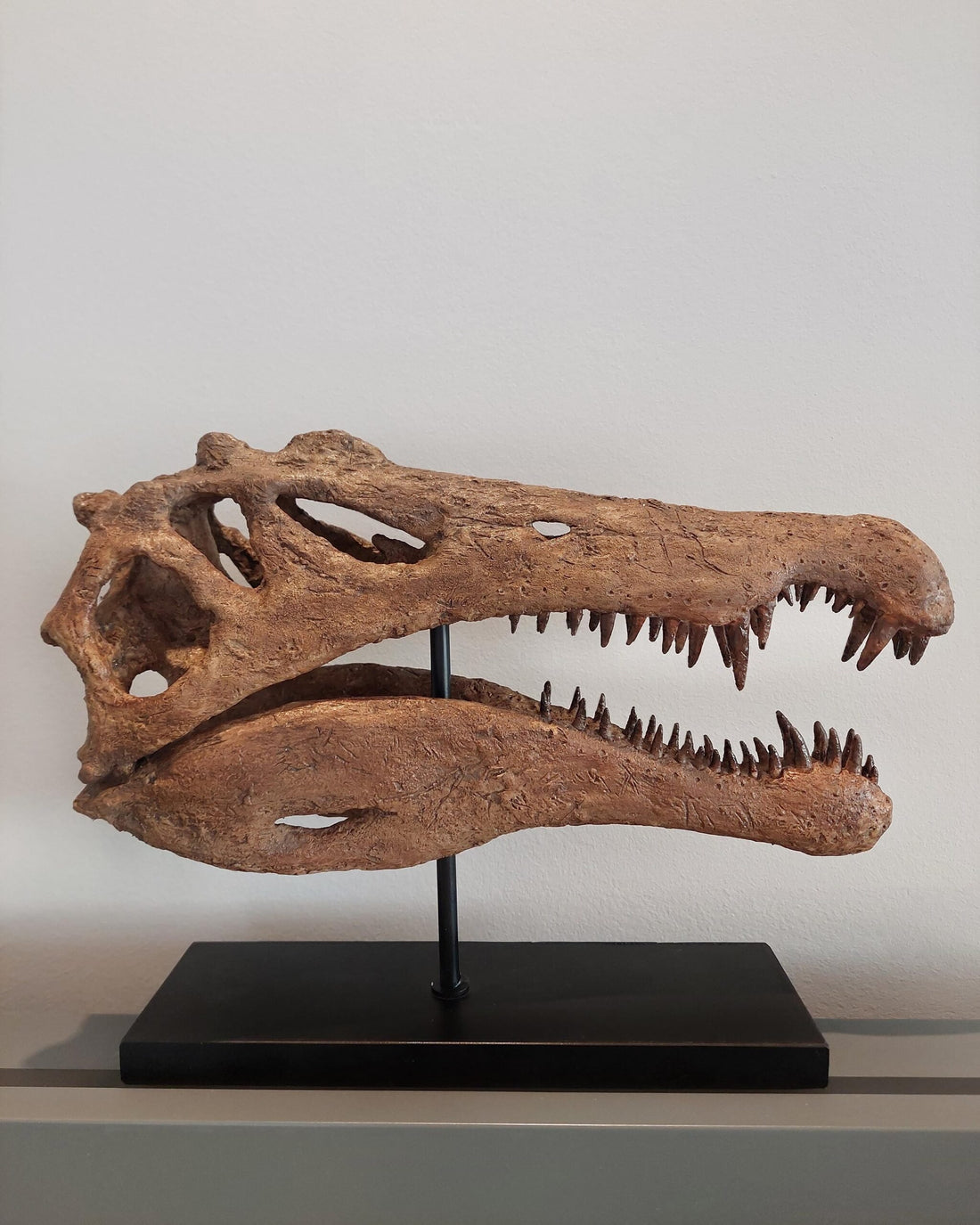 Spinosaurus Seramik Heykel