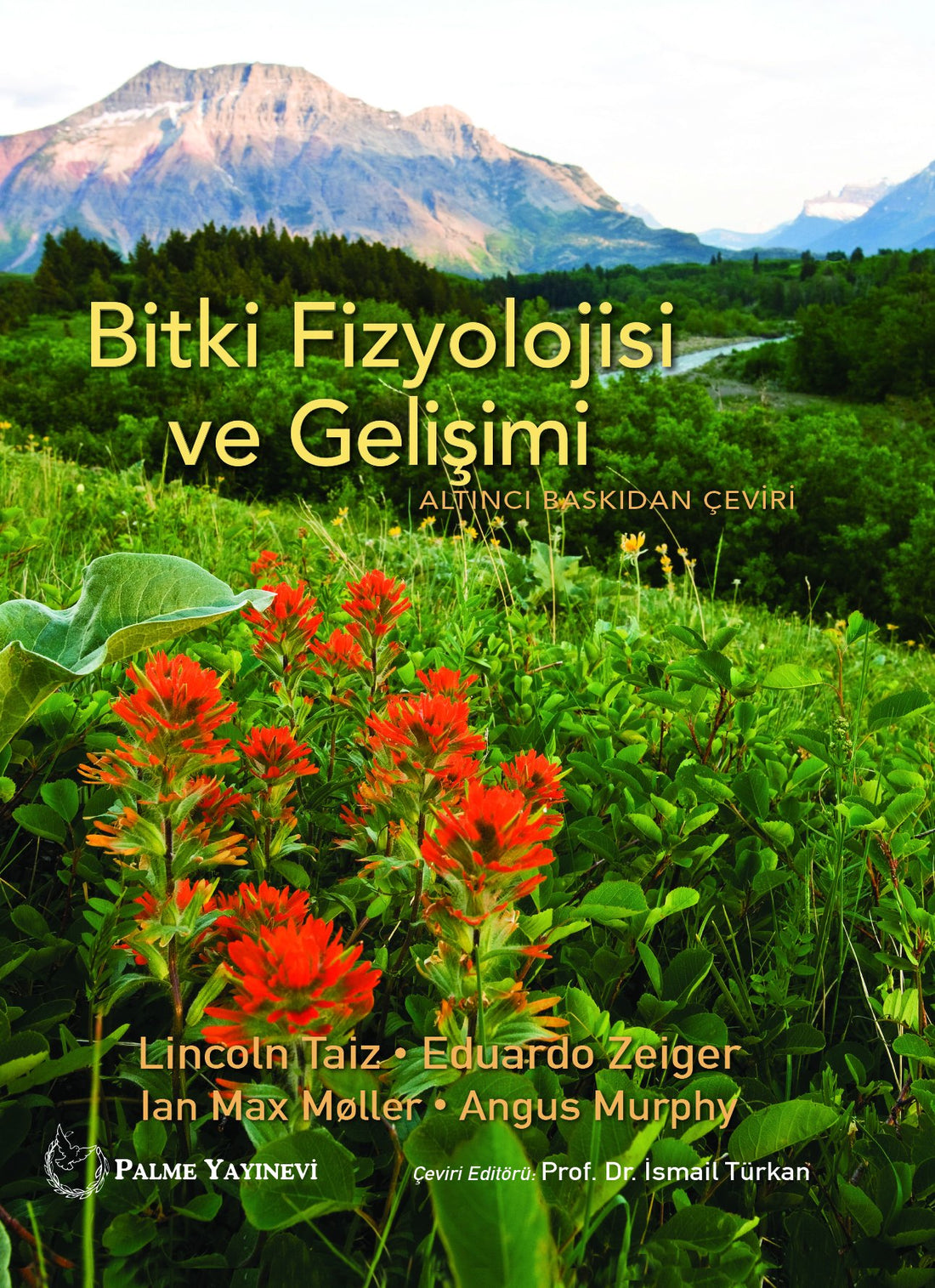 Bitki Fizyolojisi ve Gelişimi