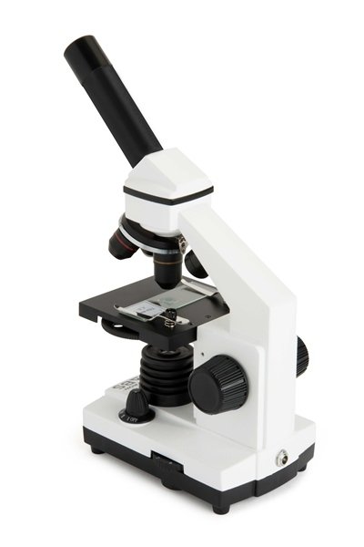 Celestron M800 Biyolojik Mikroskop (10 Adet Hazırlanmış Slayt Hediye!)