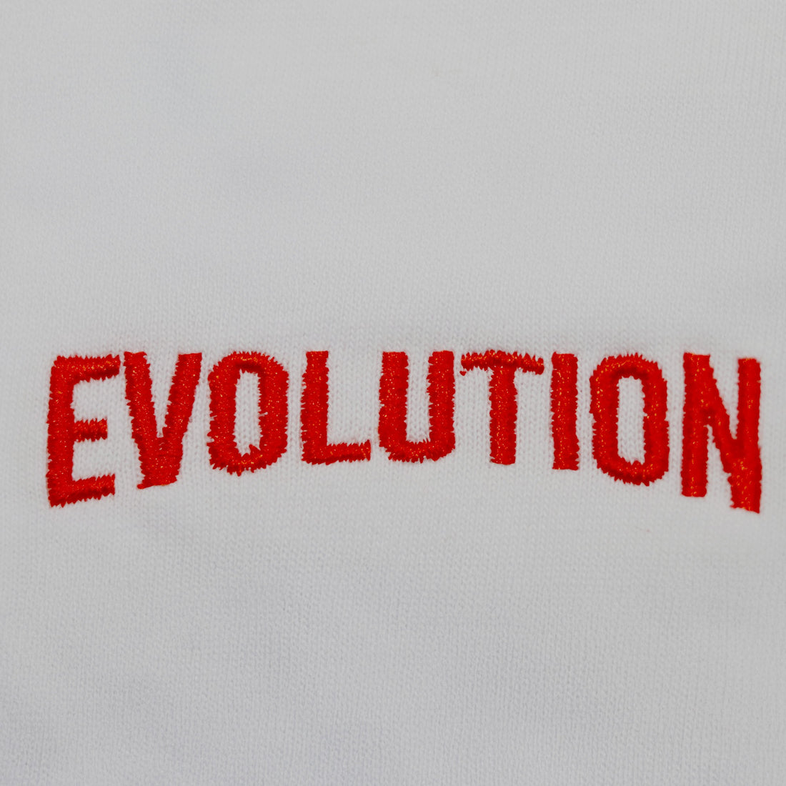 Evolution: Evrim T-Shirt (Nakış, %100 Pamuk)