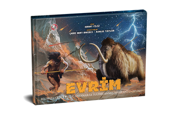 Evrim: Bilimsel Kutulu Masa Oyunu