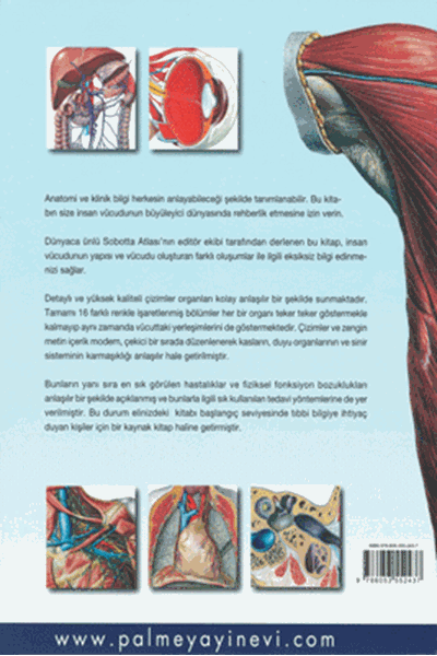Anatomi Atlası Sobotta Çizimleri