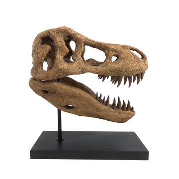 T. rex