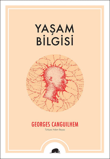 Yaşam Bilgisi