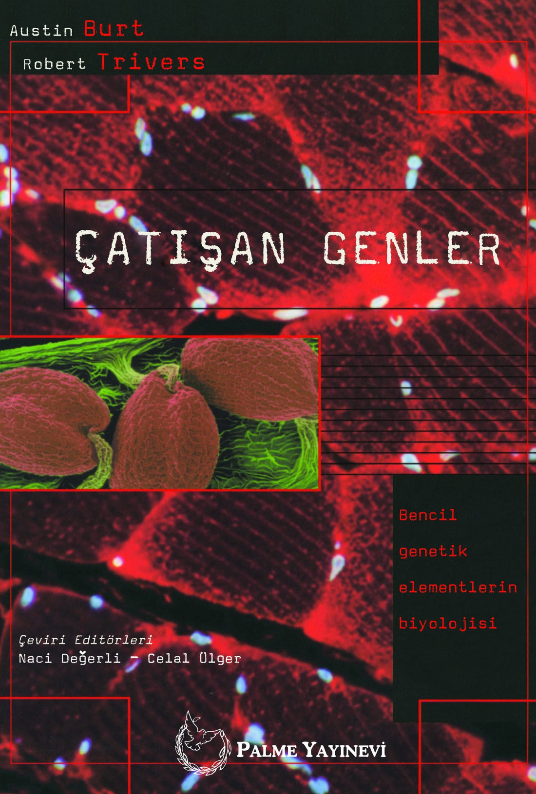 Çatışan Genler