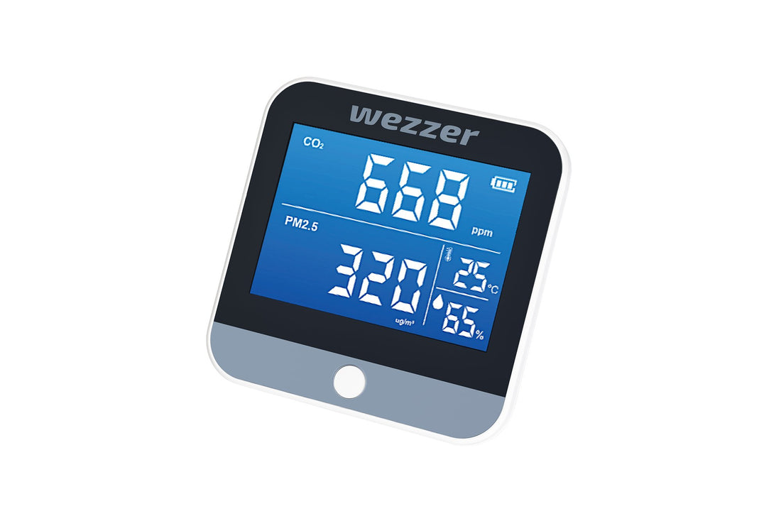 Levenhuk Wezzer Air PRO DM30 Hava Kalitesi Monitörü