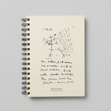 Darwin Yaşam Ağacı A5 Defter - 120gr 80 Yaprak Ivory (Fil Dişi)