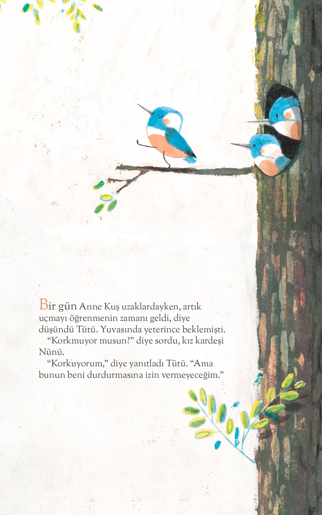 Tütü Düştü
