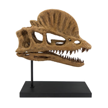 Dilophosaurus