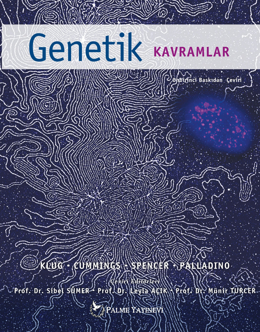 Genetik Kavramlar