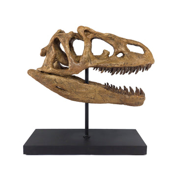 Allosaurus Seramik Heykel